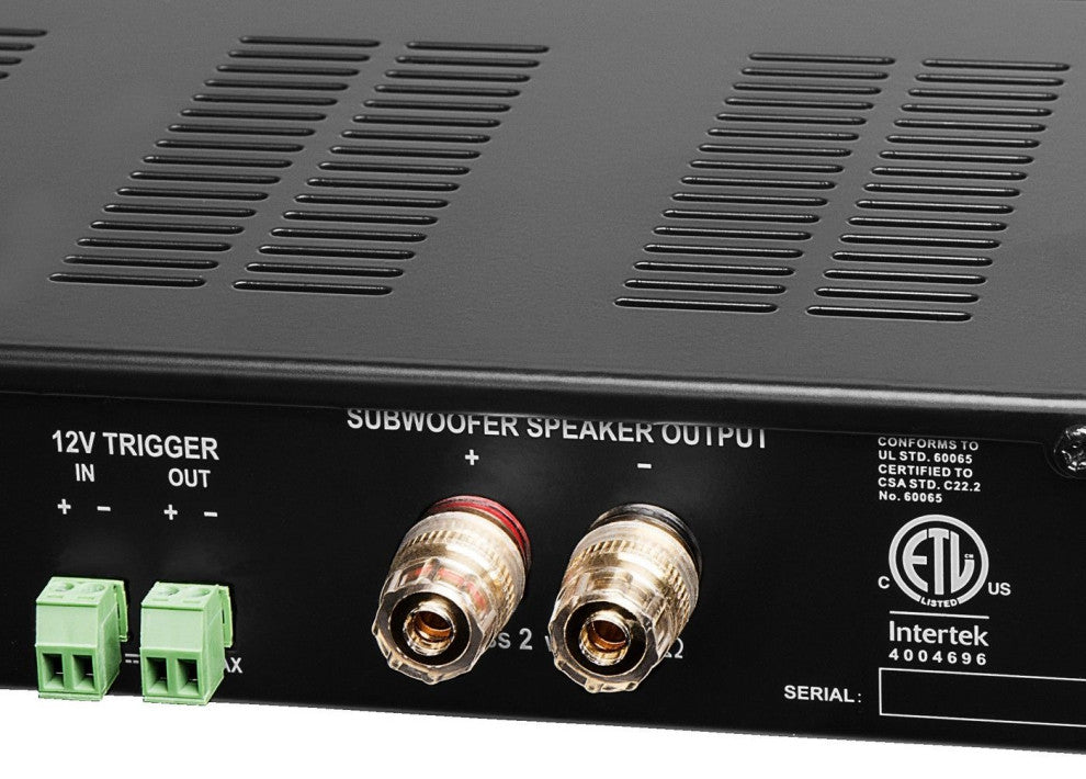 1000W Class D Mono Subwoofer Amplifier With DSP and Auto Sensing, SMP500