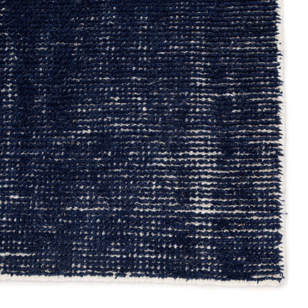 Jaipur Living Limon I-O Solid Blue Rug, 9'x12'