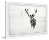 "Elk Stare" Framed Painting Print, 36"x24"
