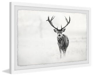 "Elk Stare" Framed Painting Print, 36"x24"