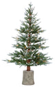 4' High Potted Natural Cut Frosted Pine Tree With 70 Clear LED Lights