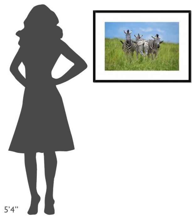 "Curious / Annoyed / Curious"  by Andreas Feldtkeller, 32x24"