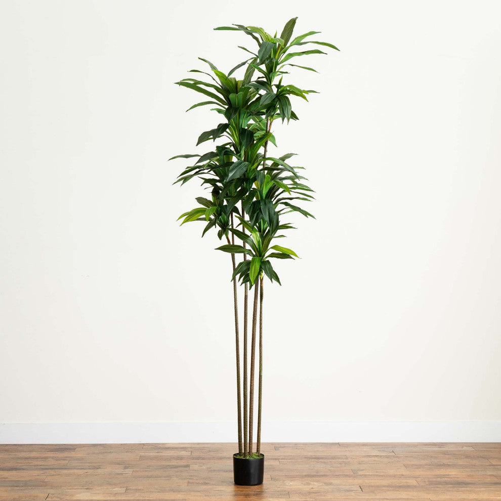 8ft. Artificial Dracaena Tree With Real Touch Leaves