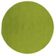Boca Raton - Bright Green 5'x7'