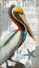 Colorful Pelican XL Wall Decor