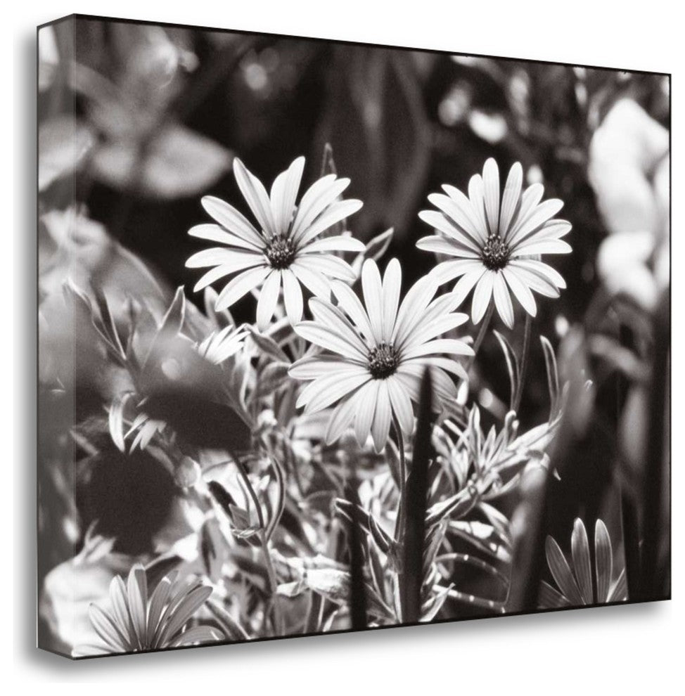 "Americana" By James Omara, Giclee Print on Gallery Wrap Canvas, Ready to Hang