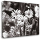 "Americana" By James Omara, Giclee Print on Gallery Wrap Canvas, Ready to Hang