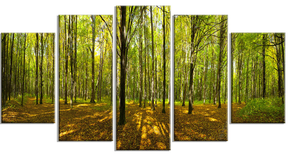 Green Autumn Forest Panorama, Landscape Canvas Art Print, 60"x32", 5 Panels