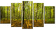 Green Autumn Forest Panorama, Landscape Canvas Art Print, 60"x32", 5 Panels