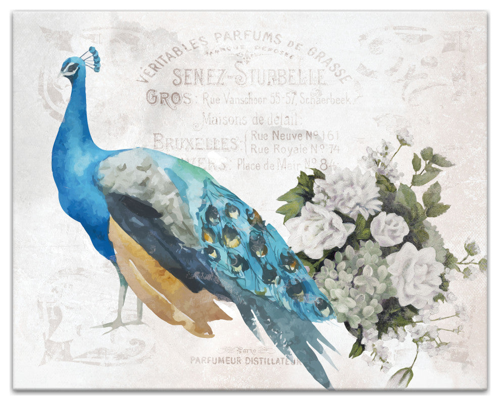 French Peacock 2 16x20 Canvas Wall Art
