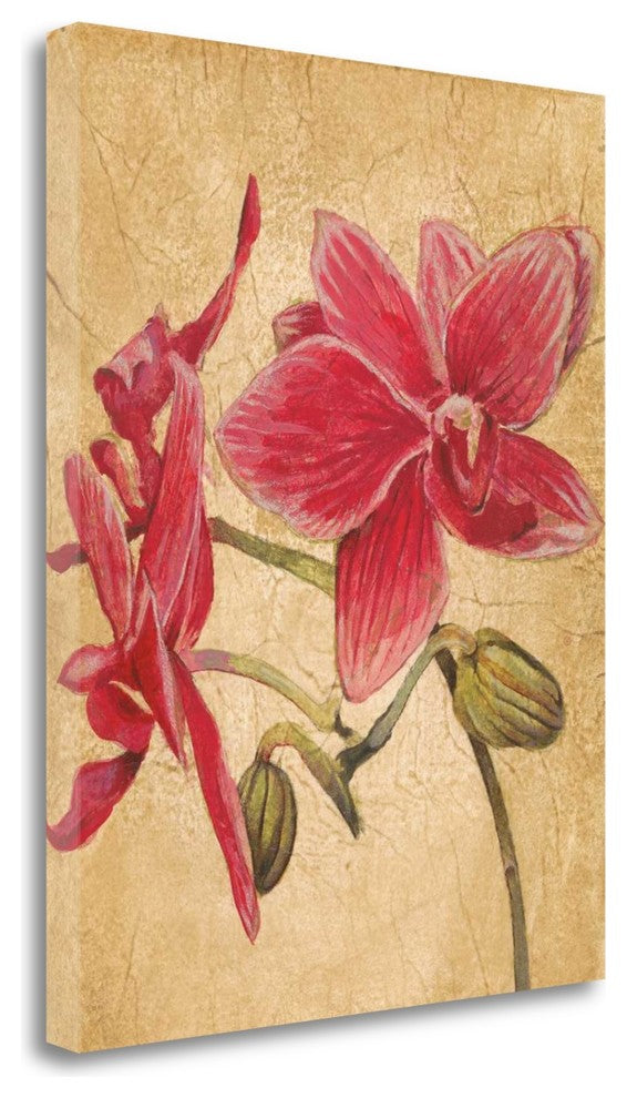 "Hawaiiantropics II" By Liz Jardine, Giclee Print on Gallery Wrap Canvas