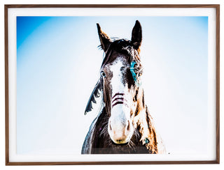 War Horse