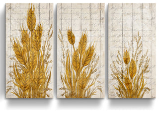Harvest Wheat 3-Pc Canvas Fall Wall Art Set
