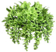 15 Stems Wisteria Long Hanging Bush Flowers, Kiwi