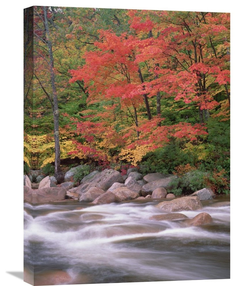 " Along Swift River, White Mountains National Forest, New Hampshire" Artwork