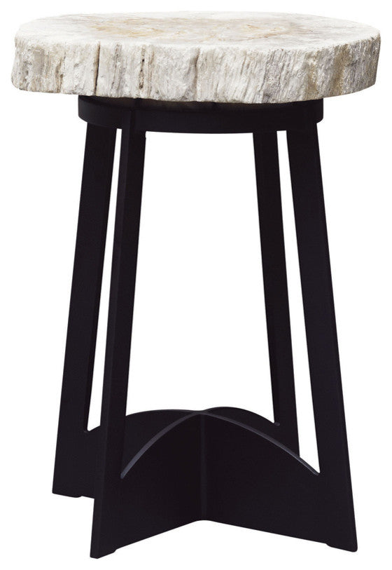 Petrified Wood Table