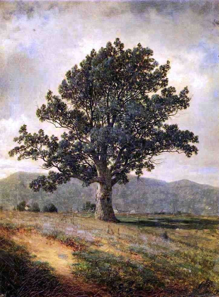 David Johnson Joyceville Connecticut, Gallery Wrapped Canvas Print, 21"x28"