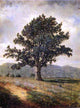 David Johnson Joyceville Connecticut, Gallery Wrapped Canvas Print, 21"x28"