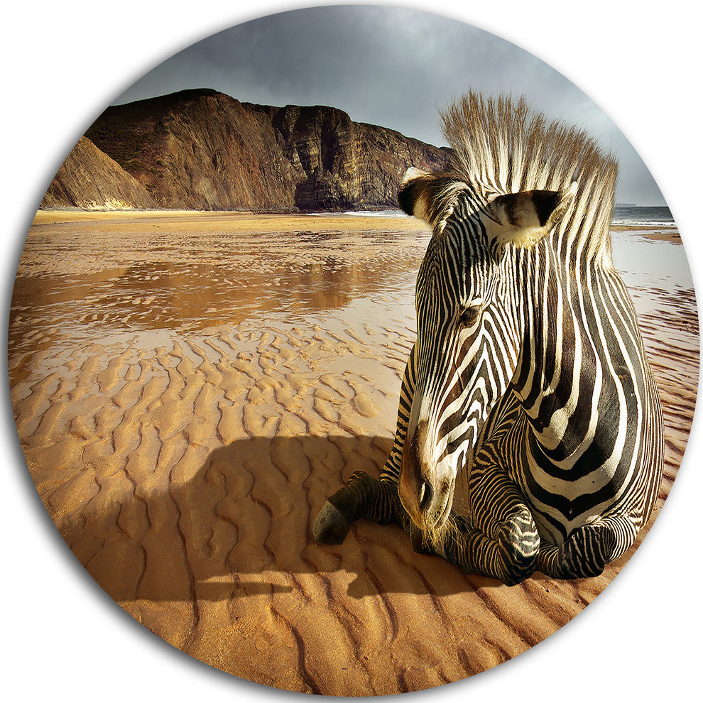 Beach Zebra, Animal Photography Round Wall Art, 23"