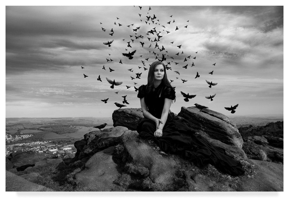 "Black Bird Queen" by Ata Alishahi, Canvas Art, 30"x47"