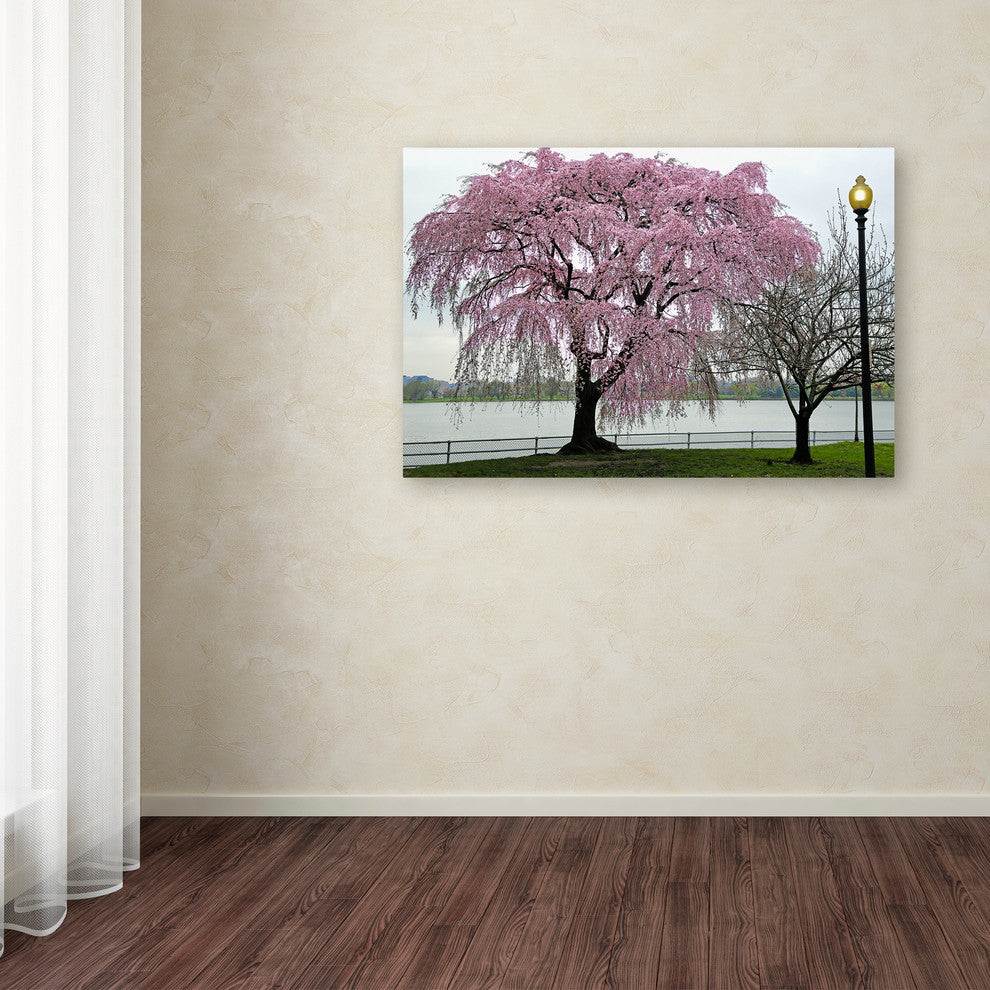 CATeyes 'Cherry Tree' Canvas Art, 22x32
