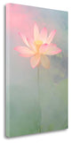 "Pink Passion" By Bahman Farzad, Giclee Print on Gallery Wrap Canvas