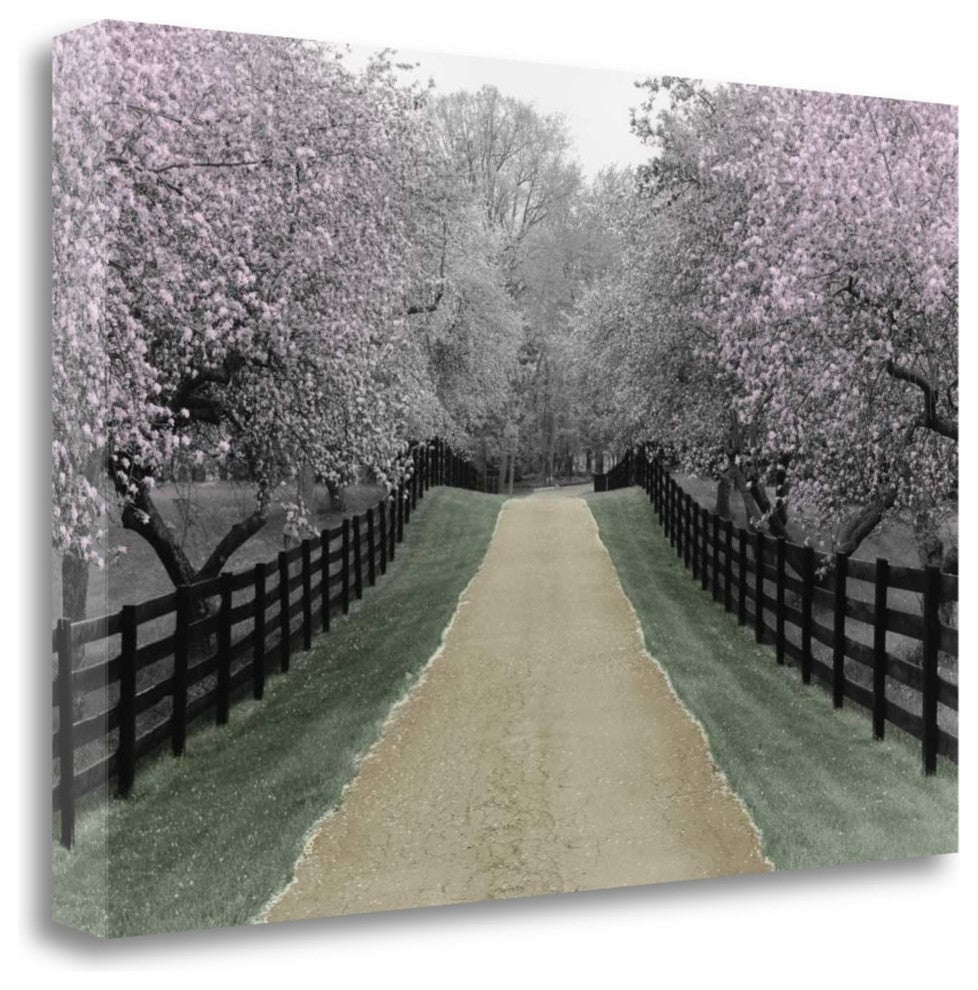 "Apple Blossom Lane" By Monte Nagler, Giclee Print on Gallery Wrap Canvas
