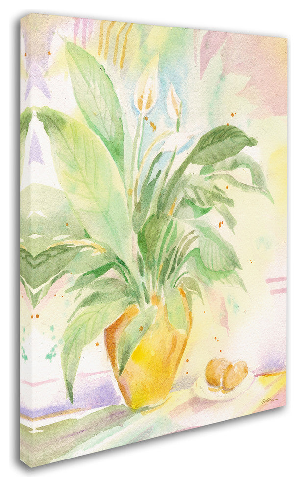 ''The Peace Lily'' Canvas Art by Sheila Golden