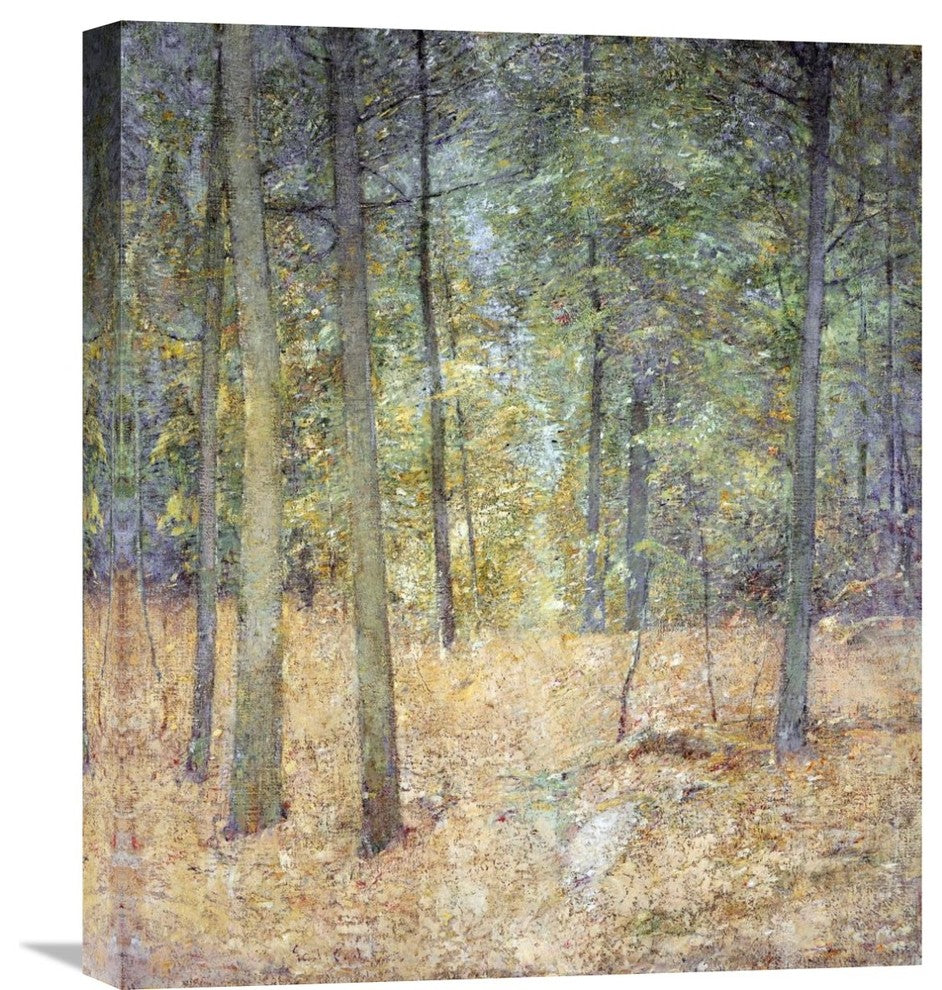 "A Light In The Forest" Artwork