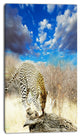 Leopard Feeding on Tree Trunk, Extra Large African Canvas Art Print, 16"x32"