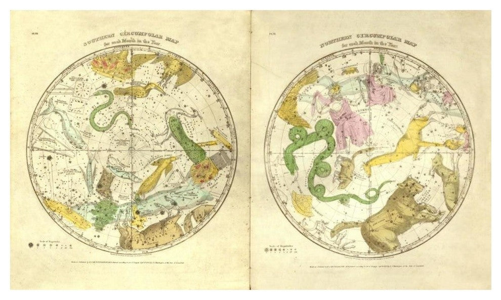 "Circumpolar Map for each Month of the Year, 1835" Paper Art, 42"x25"