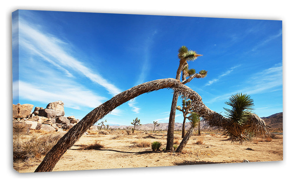 Curved Joshua Tree in Desert, Landscape Wall Art on Canvas, 32"x16"