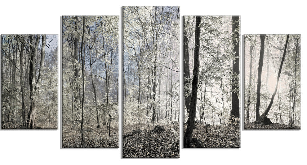 Dark Morning in Forest Panorama, Landscape Canvas Art Print, 60"x32", 5 Panels
