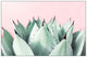 "Sweet Succulents" Floater Framed Painting Print on Canvas, 30"x20"