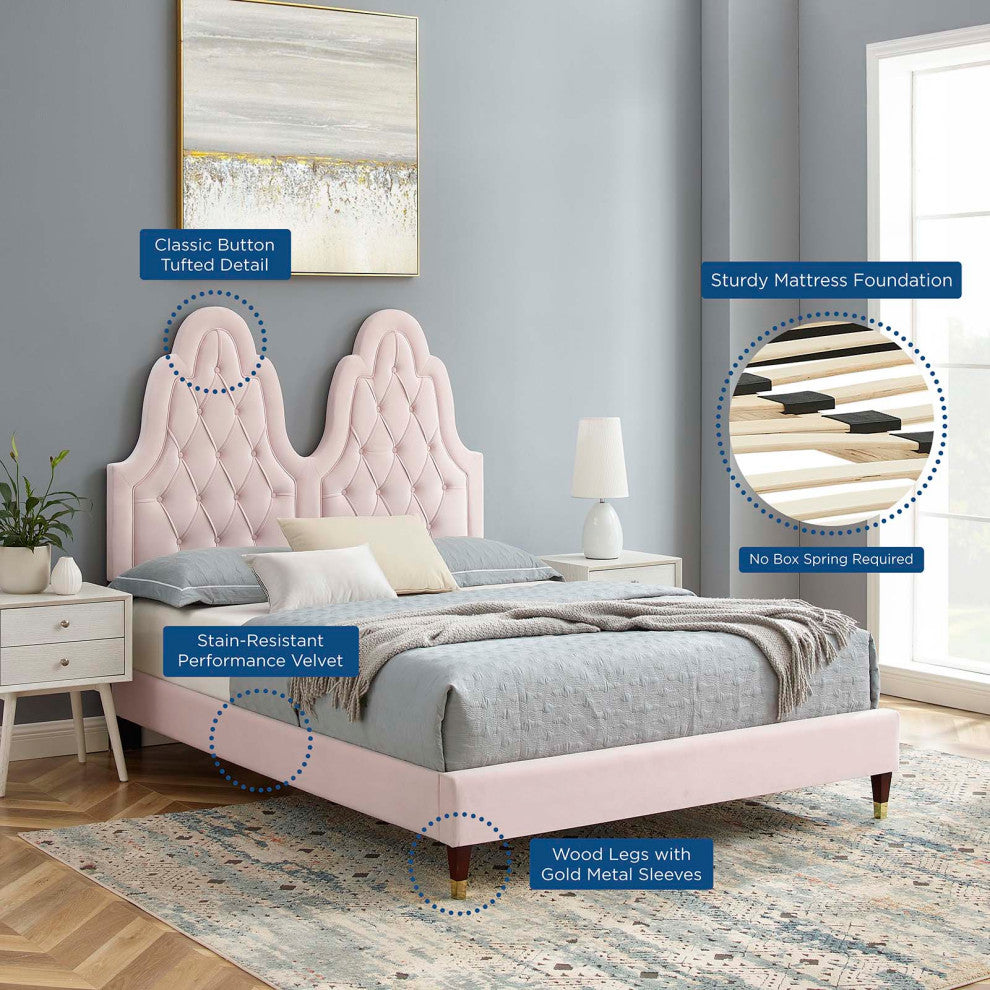 Tufted Platform Bed Frame, Queen Size, Velvet, Pink, Modern Contemporary