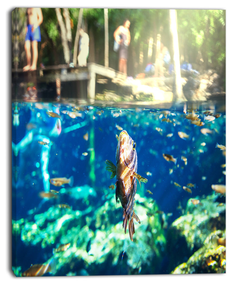 Large Fish in Ik Kil Cenote Mexico, Landscape Wall Art on Canvas, 30"x40"