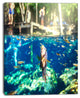 Large Fish in Ik Kil Cenote Mexico, Landscape Wall Art on Canvas, 30"x40"