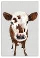 24" x 16" Brown and White Baby Cow Face Canvas Wall Art