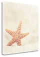 "Serendipity" By Carolyn Cochrane, Giclee Print on Gallery Wrap Canvas