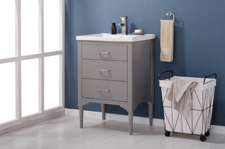 Mason 24" Single Sink Vanity, Gray