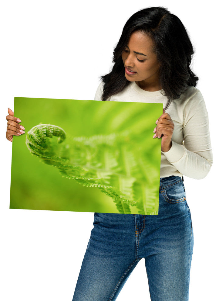Fern Curl Nature Photography, Botanical Unframed Wall Art Print, 12" X 16"