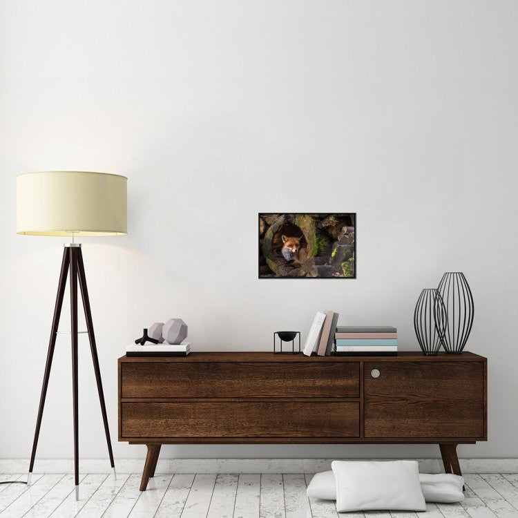 "Fox" Framed Canvas Giclee by Cees Van Ginkel, 23x16"