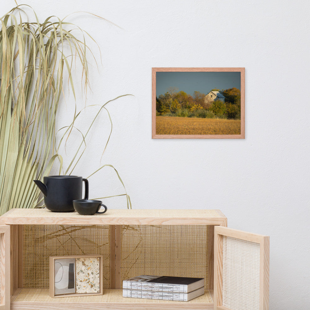 Abandoned Barn In The Trees Framed Photo Paper Wall Art Prints, Red Oak, 12" X 16"