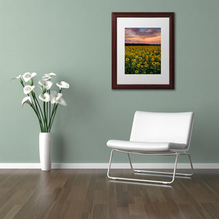 Blanchette Photography 'Sunflowers', Wood Frame, White Matte, 11"x14"