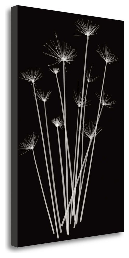 "Three Rushes" By Jim Wehtje, Giclee Print on Gallery Wrap Canvas, Ready to Hang