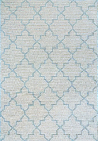 Newport Blue Area Rug, 3'11"X5'7"