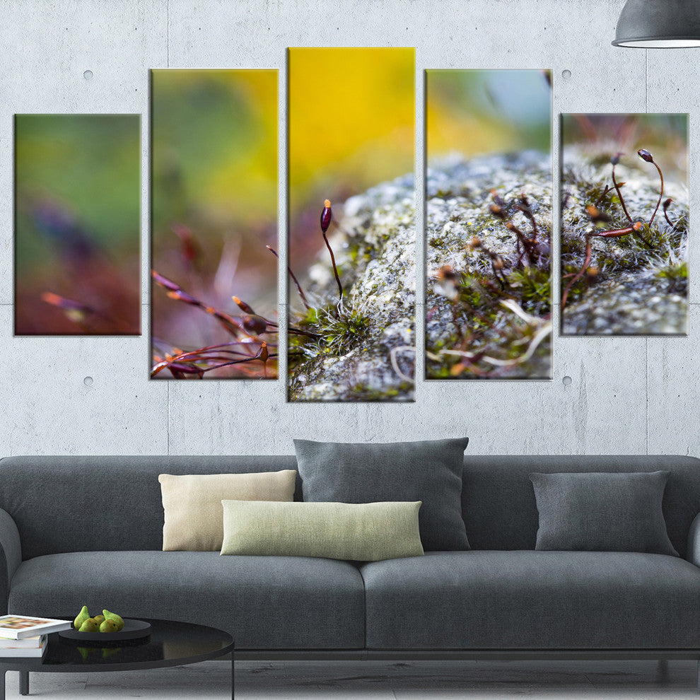 "Abstract Composition of Moss Flowers" Landscape Wall Art, 5 Panels, 60"x32"