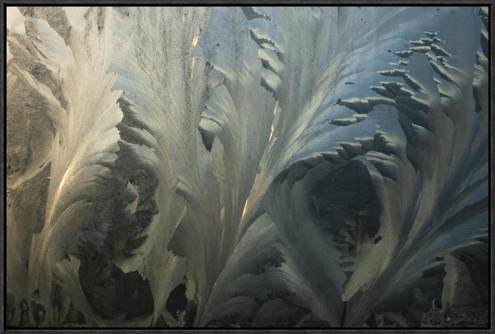 Frost Crystal Patterns On Glass, Ross Sea, Antarctica, 30"x20"