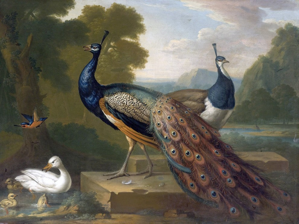 Tile Mural Peacocks By English School 18Th Century, 6"x8", Glossy