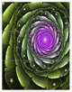 "Lush Green and Purple Fractal Flower" Metal Wall Art, 3 Panels, 28"x36"